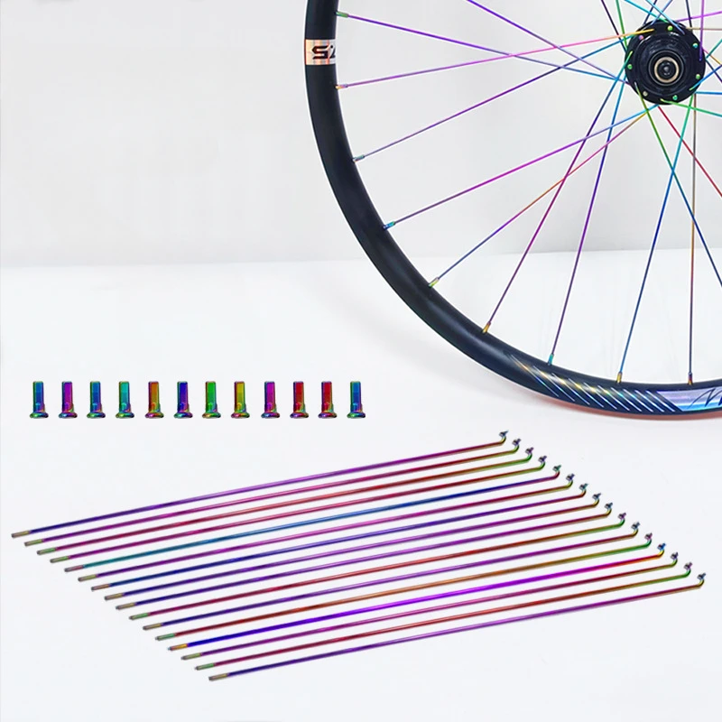 China Factory Supply Bicycle SpokeSpoke Nipple in Rainbow Price  Bike Rim Spoke With Nipple Customized Length