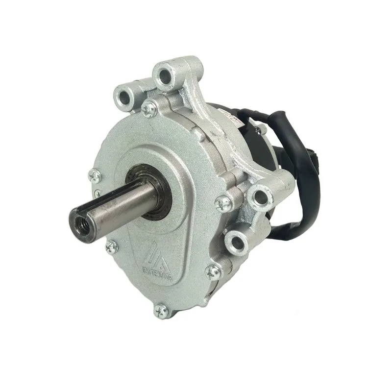 250 Watt Dc Motor Electric Wheelchair Kits Wheel 24V Wheelchair Dc Motor