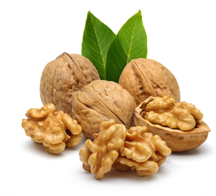 Chinese Raw Dry Clean Walnut with Shell Wholesale Plant for Export
