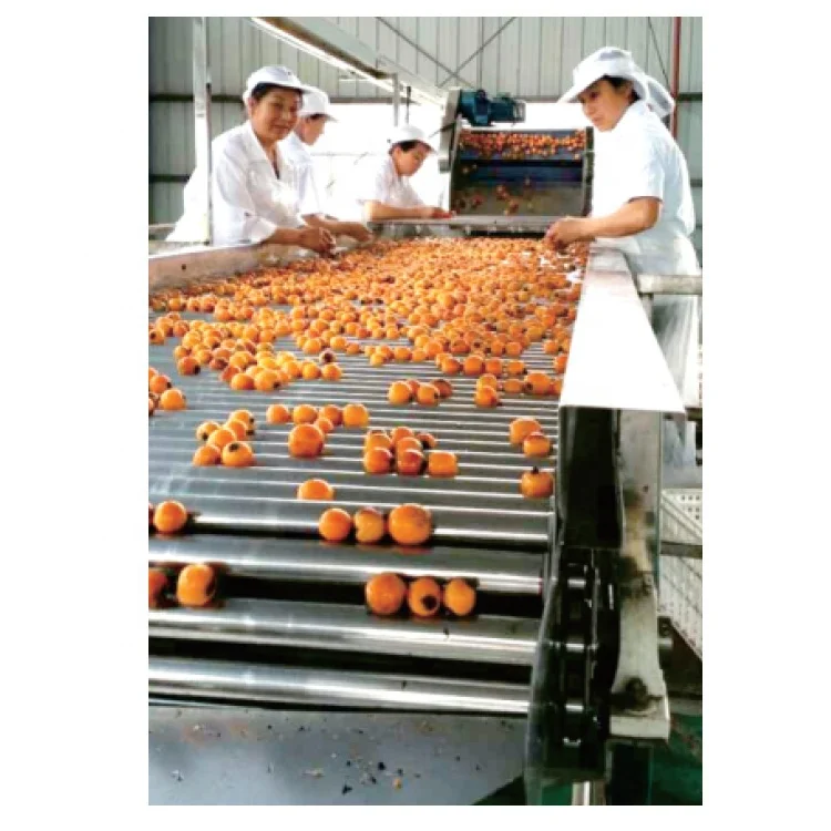 Dried fruit chips processing machine/plaintain chips making machine