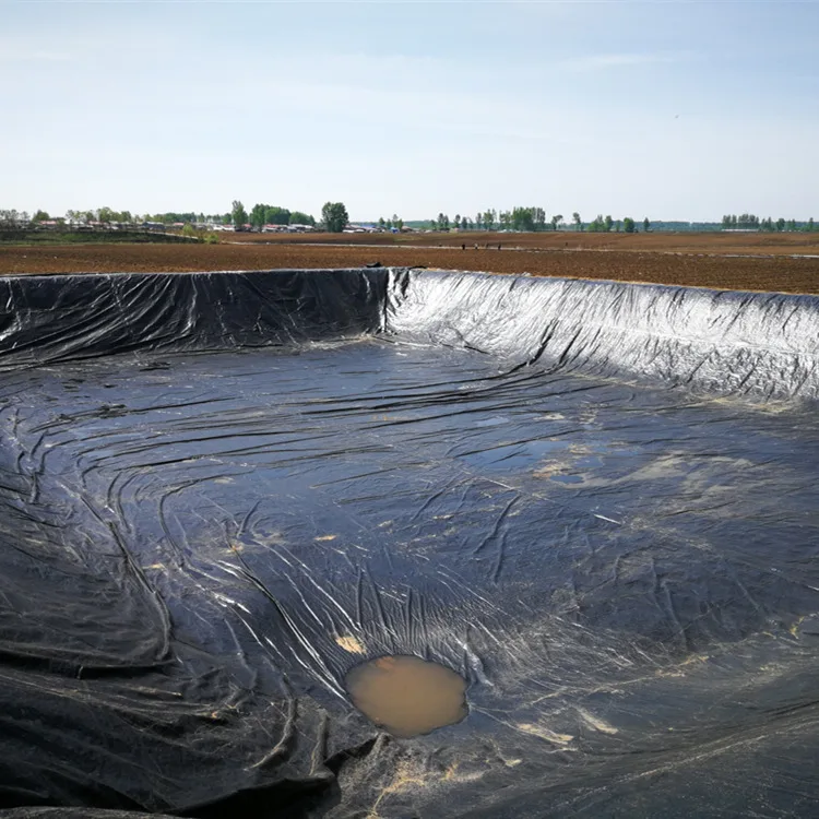 Manufacture customized large black pond liner anti-leakage fish pond water tank fish farm