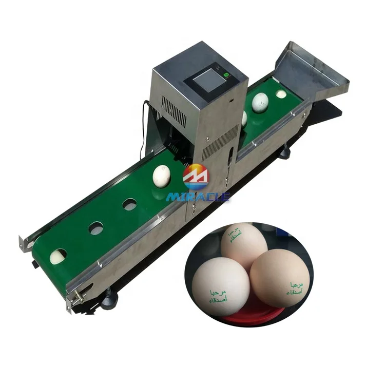 Edible Environmentally Friendly 6 head inkjet printer for egg