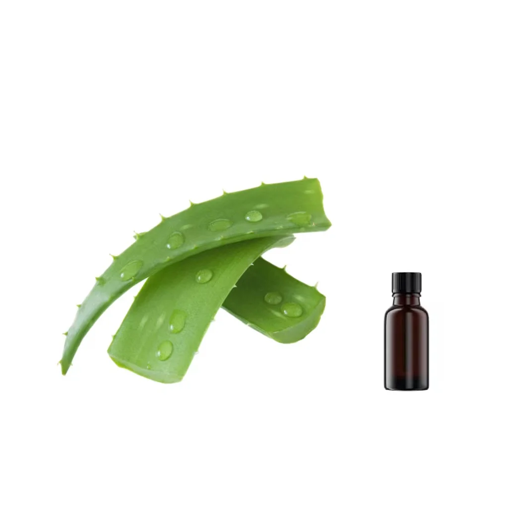 Fresh Aloe Vera Extract Used in Cosmetic Skin Care Products Processing Aloe P.E