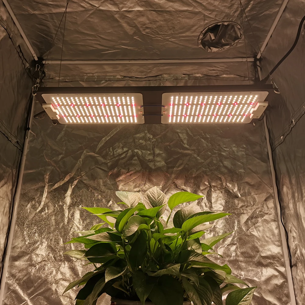 
shenzhen 240 watt lm301h red 660nm lamp 240 growlight led grow light for plants 