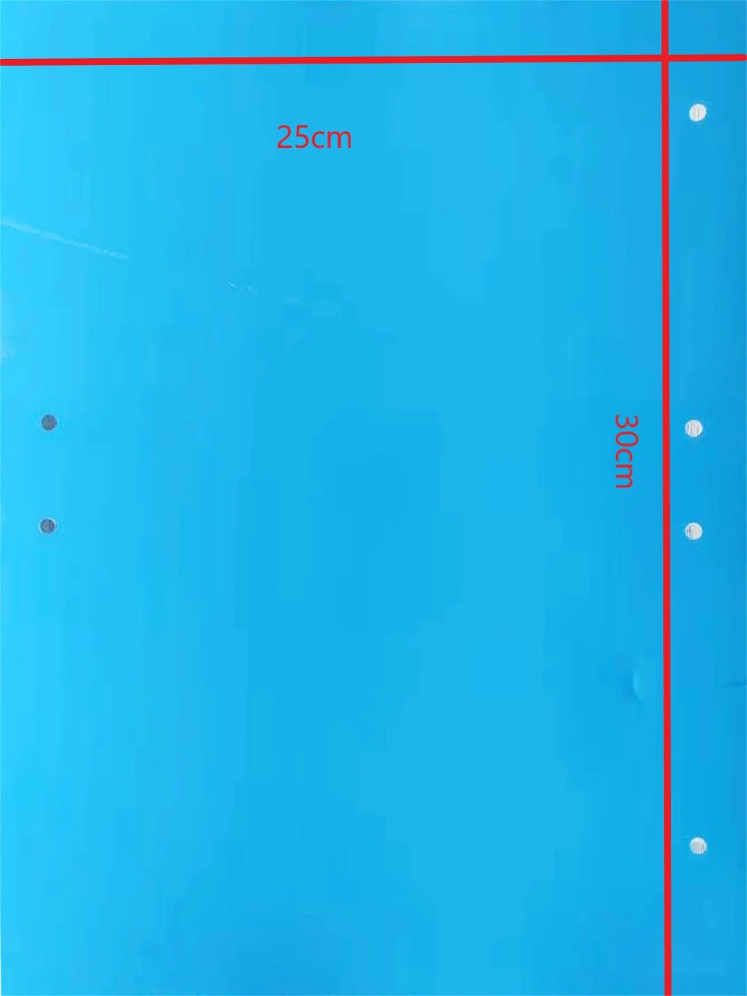 Hot Sell Pest Killer Moth Glue Traps Insect Fruit Fly Catcher Sticky Trap for Greenhouses