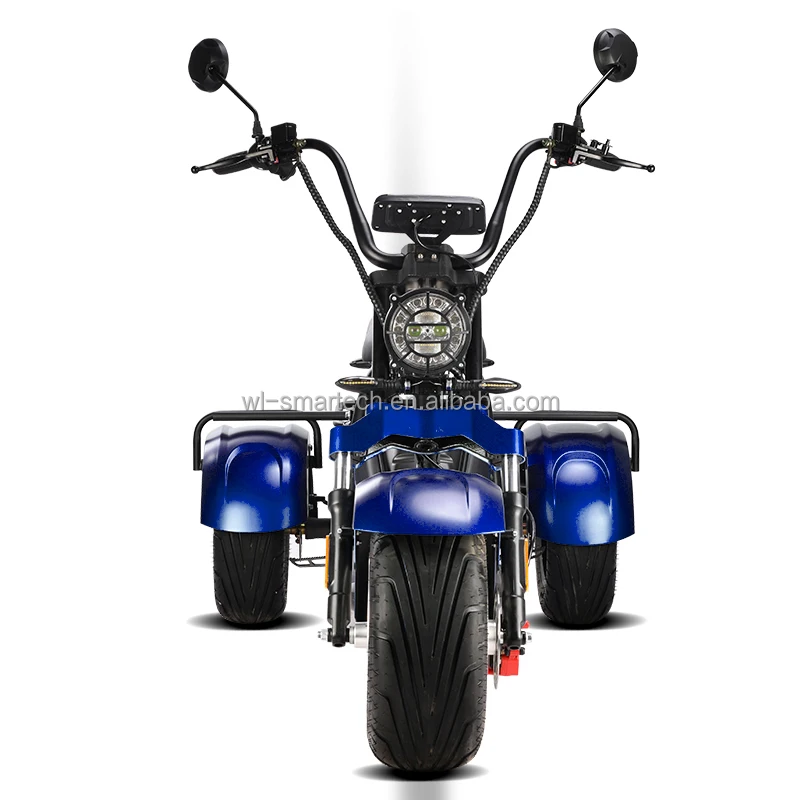 Popular 3 Wheel Electric Bicycle 250w Fat Tire Electric Tricycle Adult Electric Tricycle