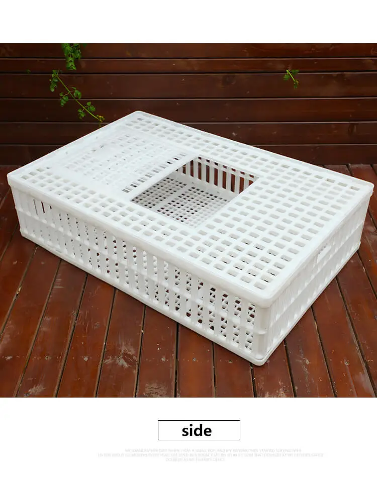 broiler cage (6).jpg