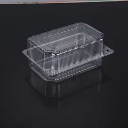 Kitchen Food Container Polypropylene Plastic Durable Sandwich Bread Food Container Box Safe Storage Lunch Box