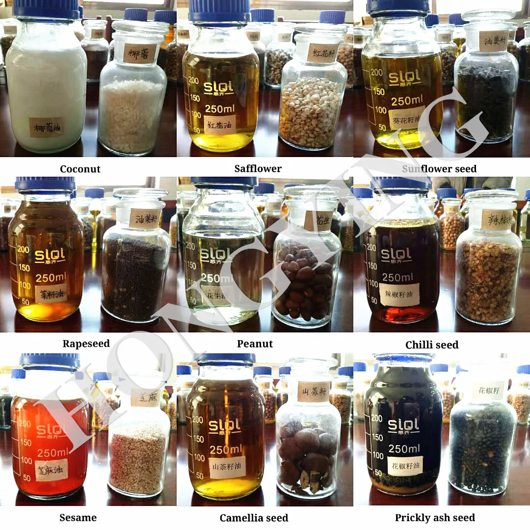 High-technology Extra Virgin Olive Oil Cold Press Machine, Olive Oil Extraction Machine For Sale