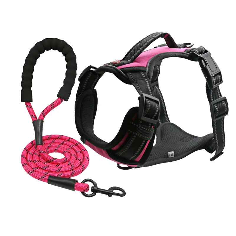 Strong Hemp Oxford Therapy Dog Collar Harness Leash for Small Medium Large Pets XL Size with Breakaway Feature by Pet Cane