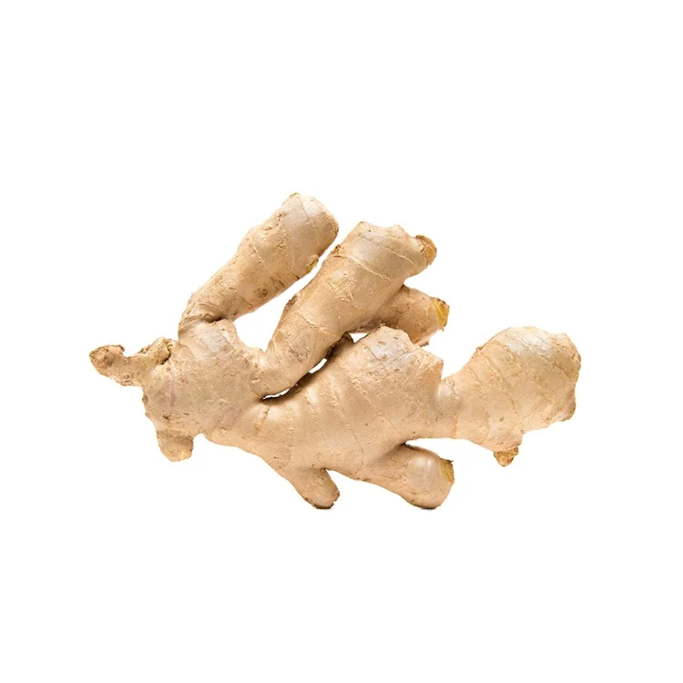 Sinofarm Manufacturer Fresh Air Dry Ginger Supplier Thin Ginger Fat Ginger Fresh in China