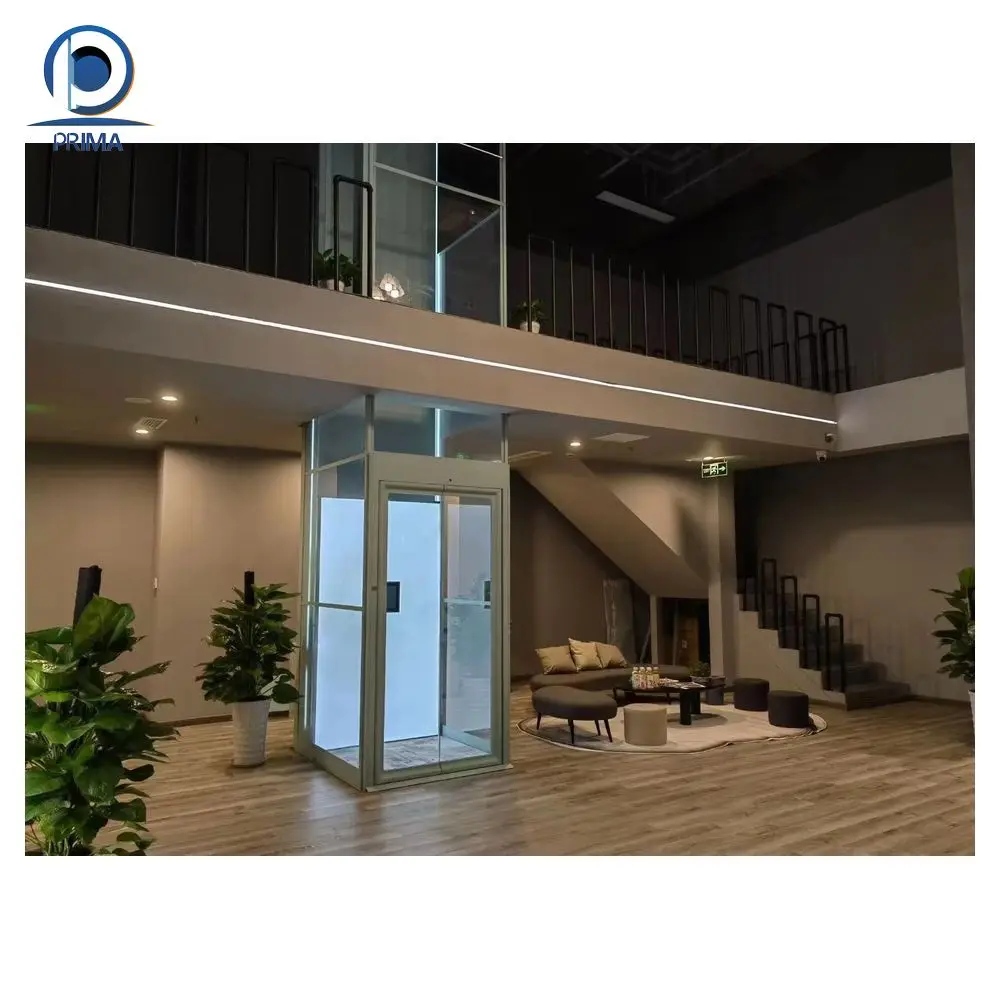 Fast Delivery Foshan Factory Home Elevator Electric Small Home Lifts Prices Residential Lift Passenger Elevator