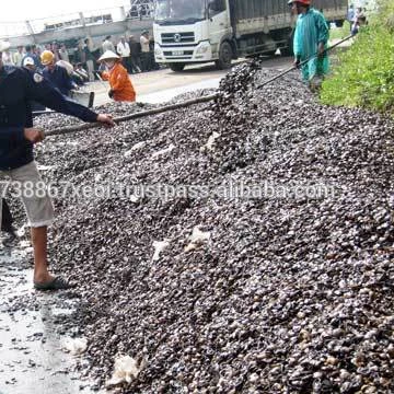 CASHEW SHELL - Vietnamese Special for Fueling Material/ Cashew Shell Residue
