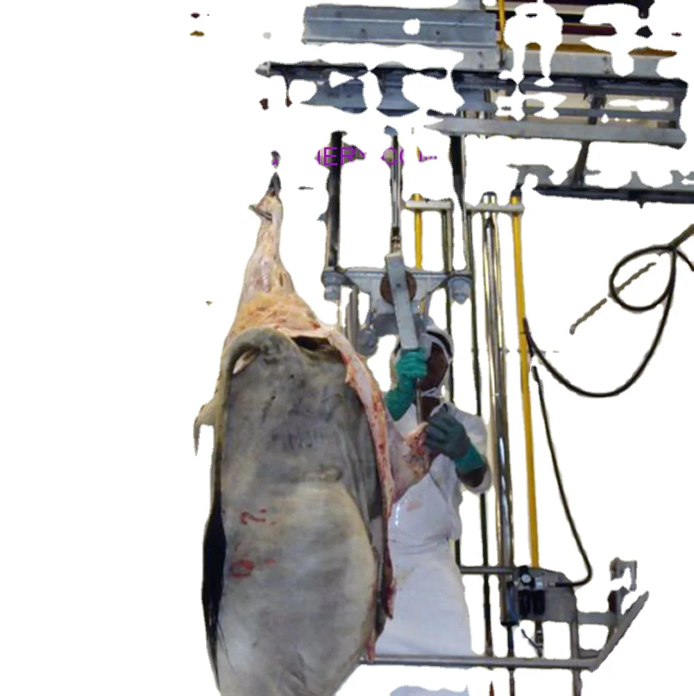 Cow Slaughterhouse Cattle Condemned Carcass Descending Machine For Slaughterhouse Equipment