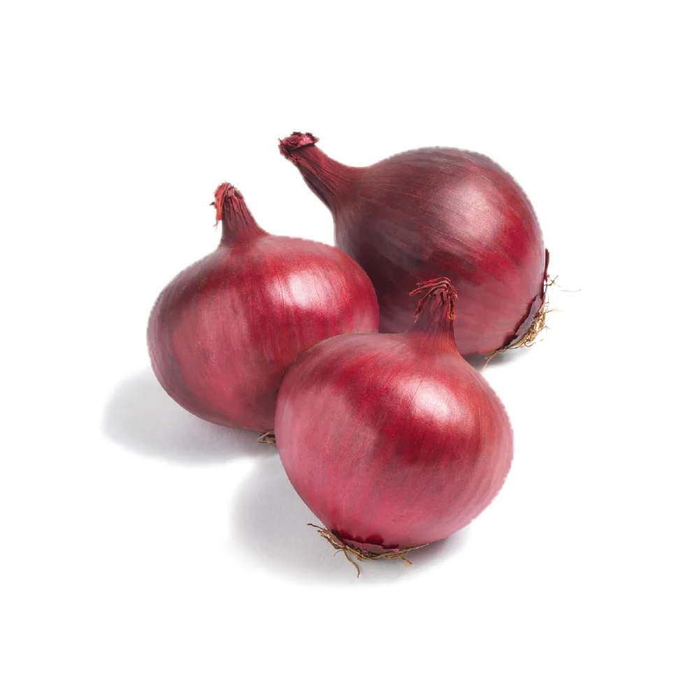 
High Export Quality Fresh Onion 