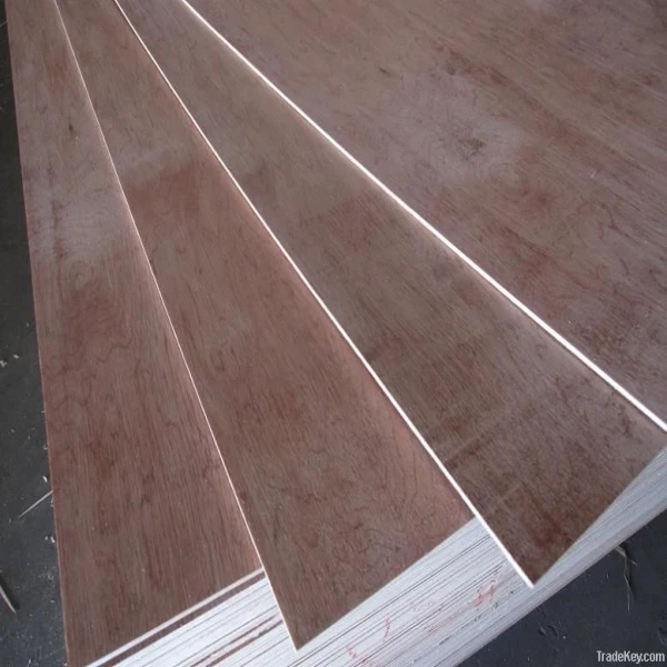 bintangor/pencil cedar/plywood with okoume poplar plywood hardwood pine 1220x2440mm 18mm
