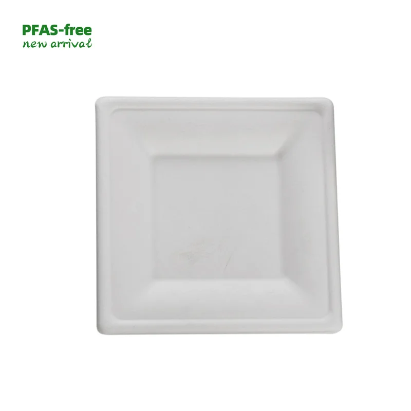 PFAS-free  Dessert Eco Friendly Disposable Cost price Sushi Plate Wedding Disposable Plates Set