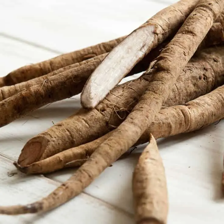 Ciyuan Bio High Quality  niu bang gen burdock root Arctium Lappa Burdock Root Extract