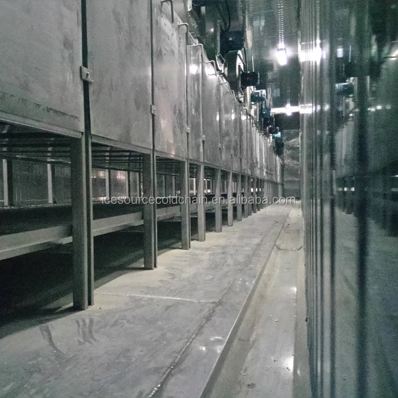 
1000kg/h Customized IQF Tunnel Freezer/Industrial IQF Blast Freezer for Fish/Shrimp/Seafood with CE/BV 