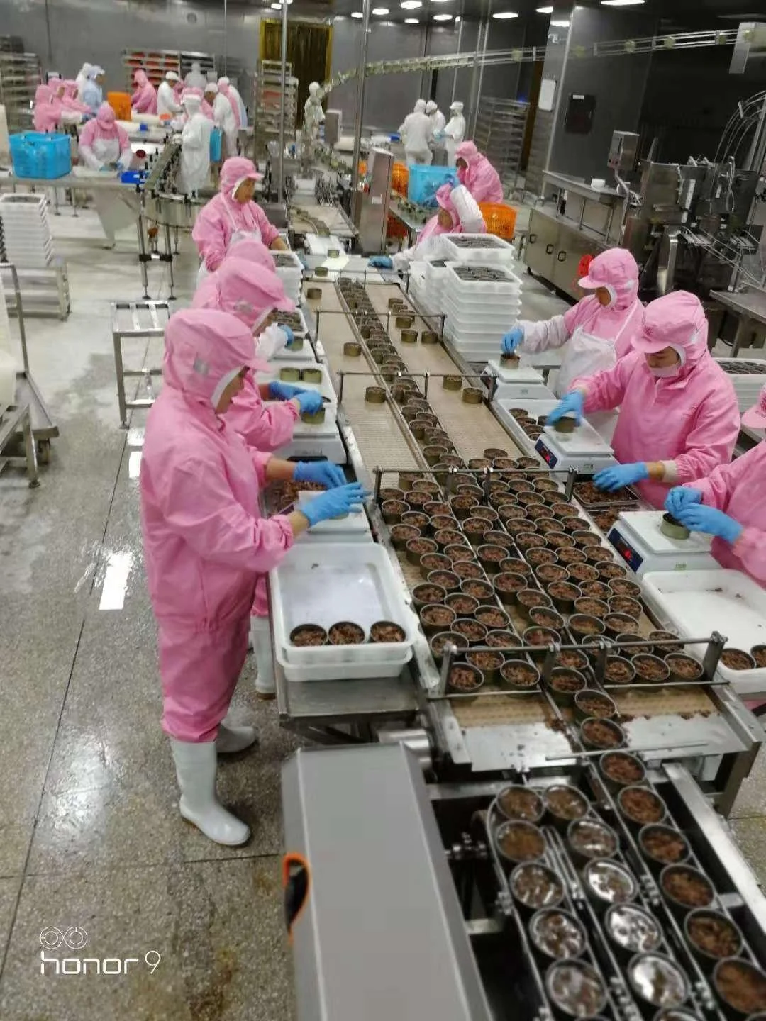 
Good price high quality tuna line tuna processing machine automatic tuna canning machine 