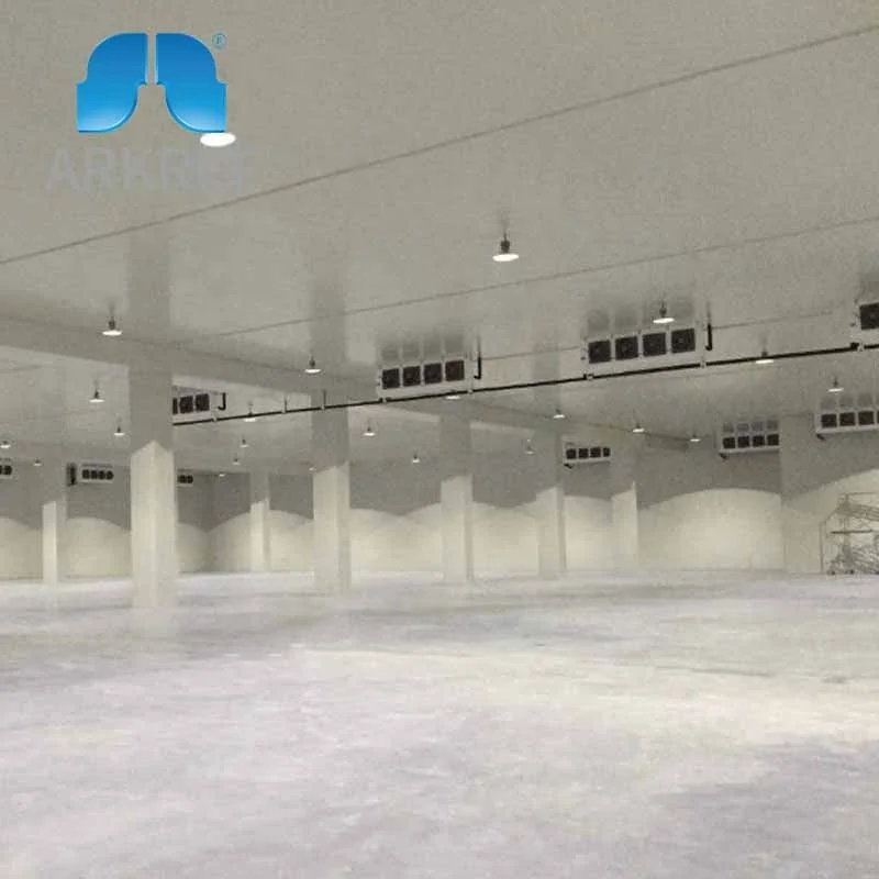 ARKREF Food Storage Cold Room For Fruits And Vegetable Cold Storage Room