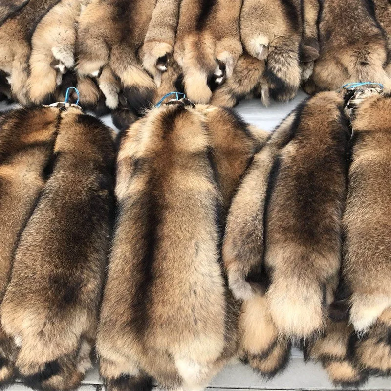 Wholesale High Quality Big Size Fluffy Large Natural Animal Pelt Real Raccoon Skins