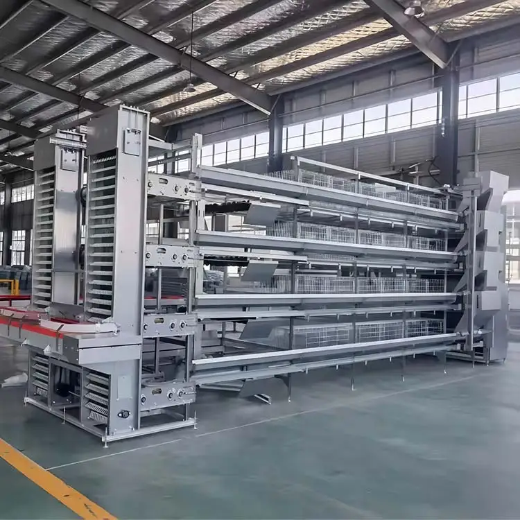 Automatic poultry production line cages for layer chickens for 10000 birds cheap price