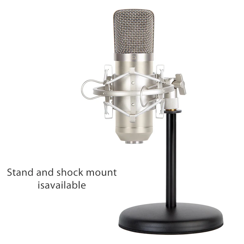 Professional Studio Recording Condenser Microphone and Accessories