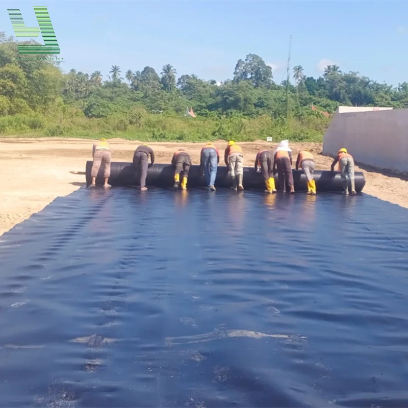 Геомембранный лайнер из полиэтилена hdpe ASTM GM13 стандарт 0 2 мм-3 мм HDPE LDPE ПВХ EPDM водонепроницаемая геомембрана для фермерского бассейна пруда