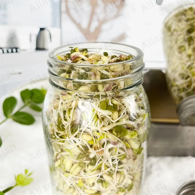 Custom 2 pack 750ml Empty Wide Mouth Mason Kit Seed Sprouting Jar with Screen Lids and Trays