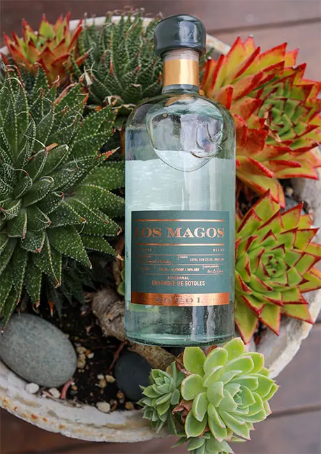 Высококачественный Натуральный Пищевой спирт Los Magos Sotol Blanco Premium