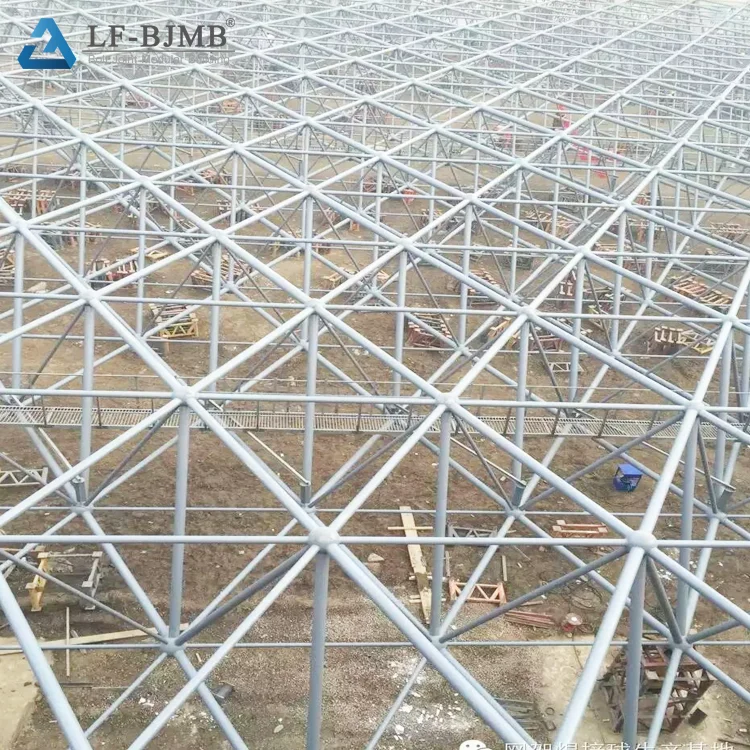 Low price customized space frame roof steel structure system