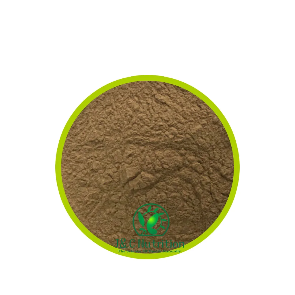 100% natural top quality Nigella Sativa Extract 5% Thymoquinone Black Cumin Seed Extract Powder Black Seed