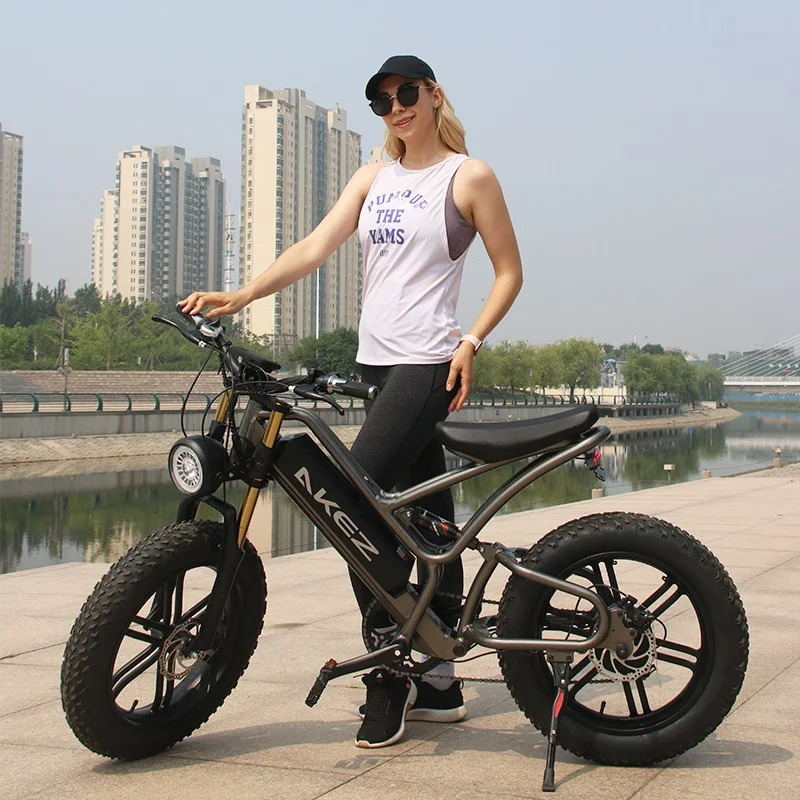 Adult 350w/ 500w/ 1500w Full Suspension Folding 20inch Fat Tire 25AH Battery Ling Range Electric Bike Bicycles Emtb Ebike