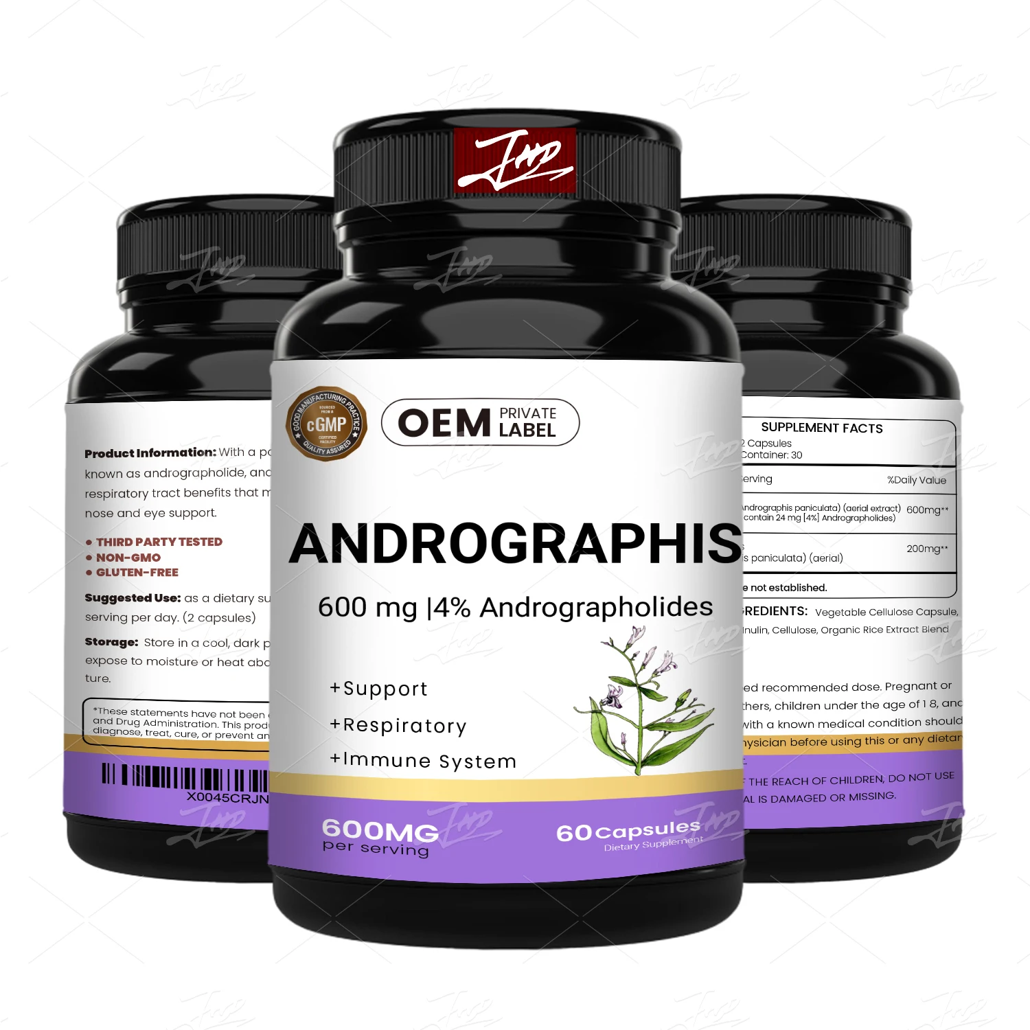 OEM 500mg/Capsule Andrographis Paniculata Extract Andrographis Capsules for Immune System Health