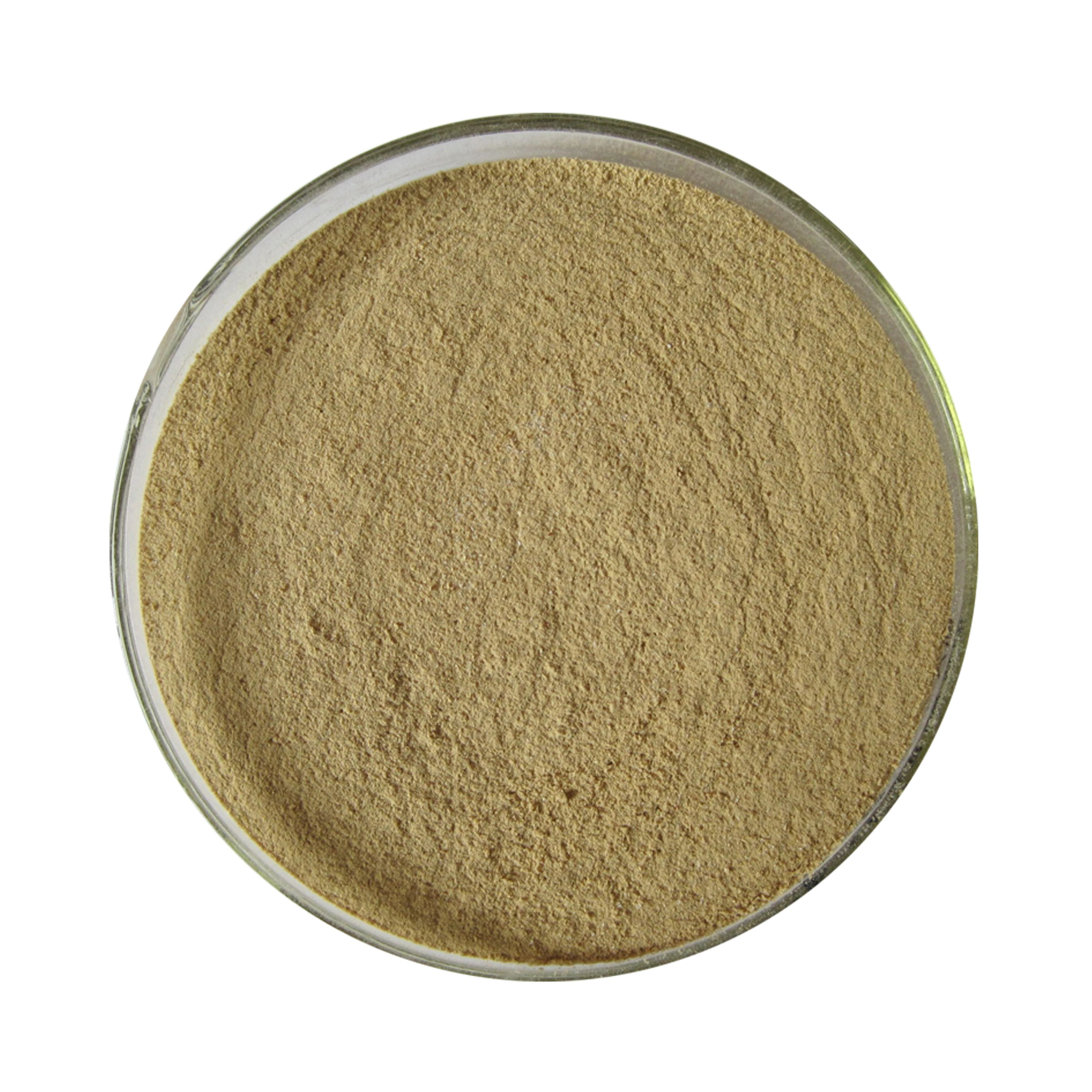 
Stable Neutral Protease Powder for Feed Additives 