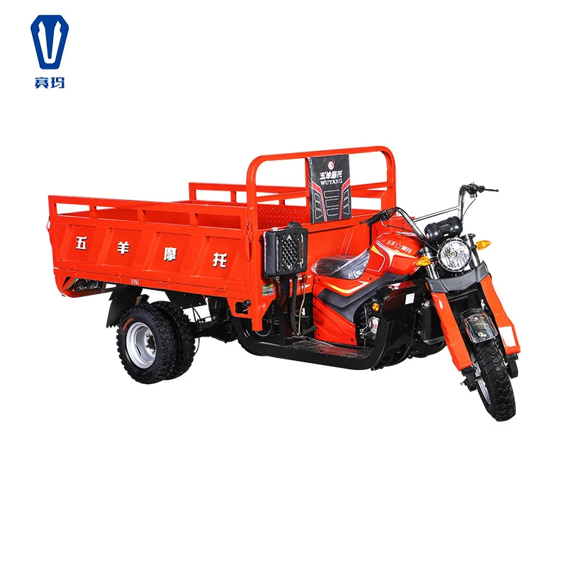 Three Wheel Bike, Tricycle Adult Gas Powered Scooters, Auto Rickshaw