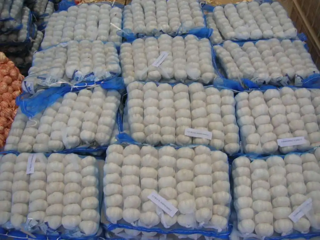 
Fresh White Garlic wholesale 