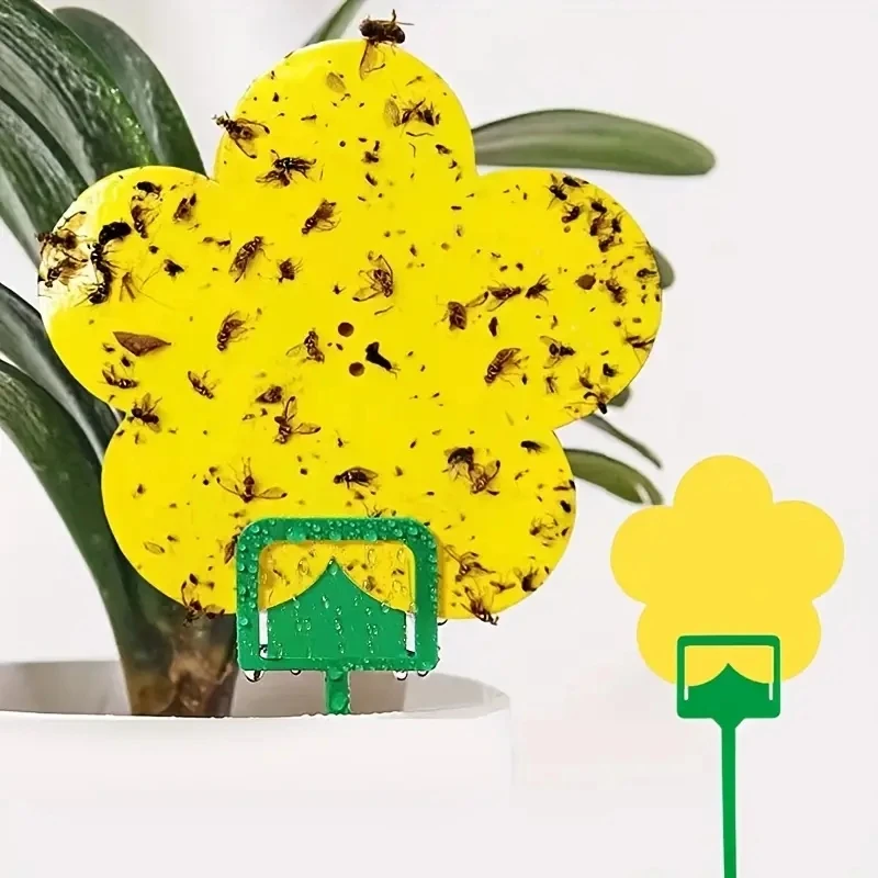 Yellow Sticky Fly Catcher Aphids Fungus Gnat Killer Double-sided Plant Fruit Flies Insect Fly Trap