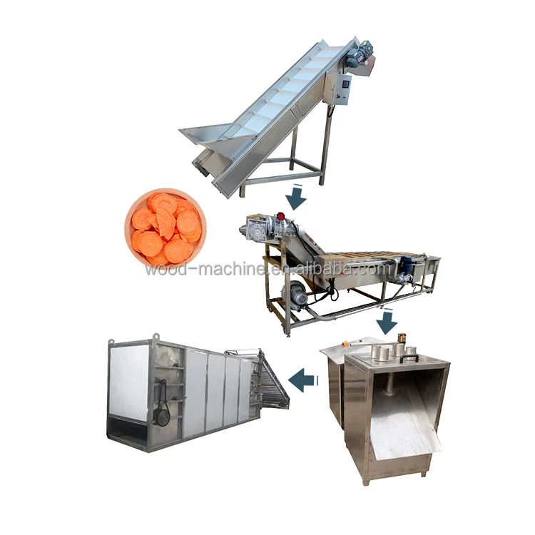 fruit and vegetable cleaning beans  drying  green chilli dehydrating machine