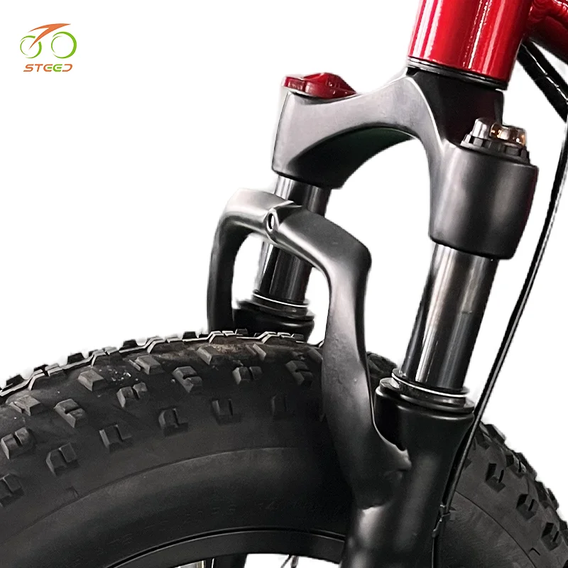 Steed central control system share bike vintage electric bicycle 3 wheel adult bicycle e-bike triangle electric bike