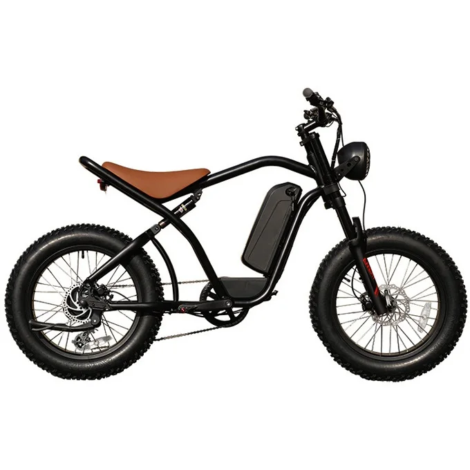 20 inch fat tire retro ebike for adult