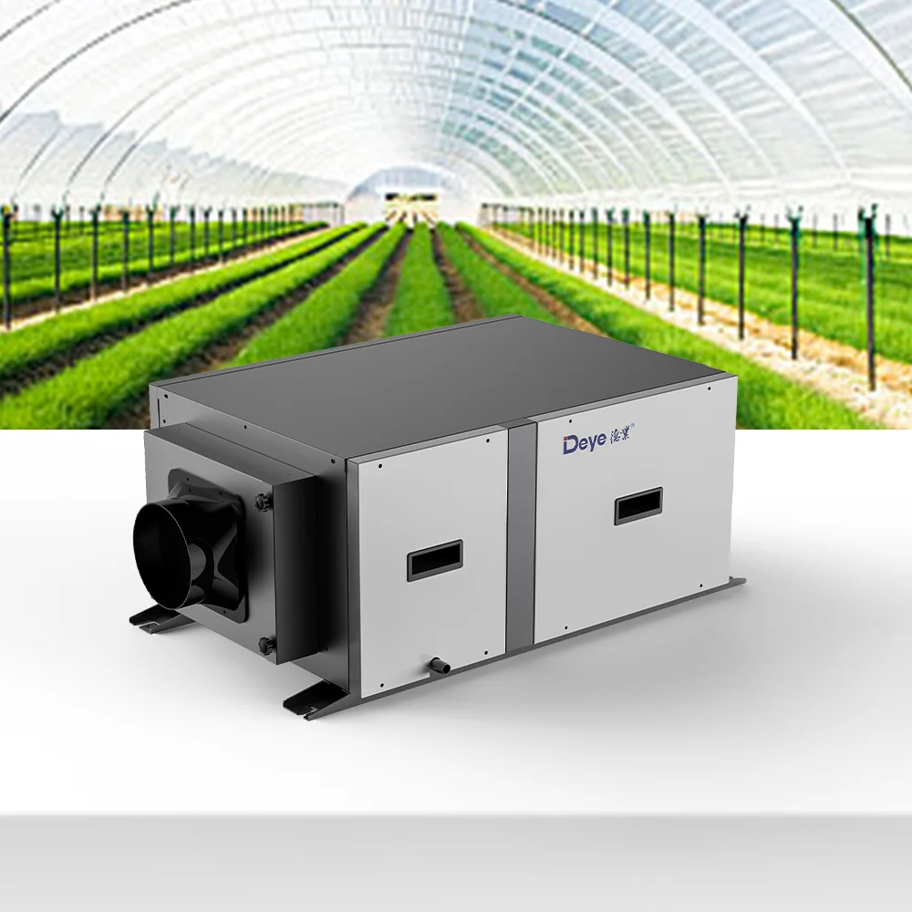 Hot sale DY-C50DZ 100pints  commerical portable air purifier greenhouse dehumidifier with air filter