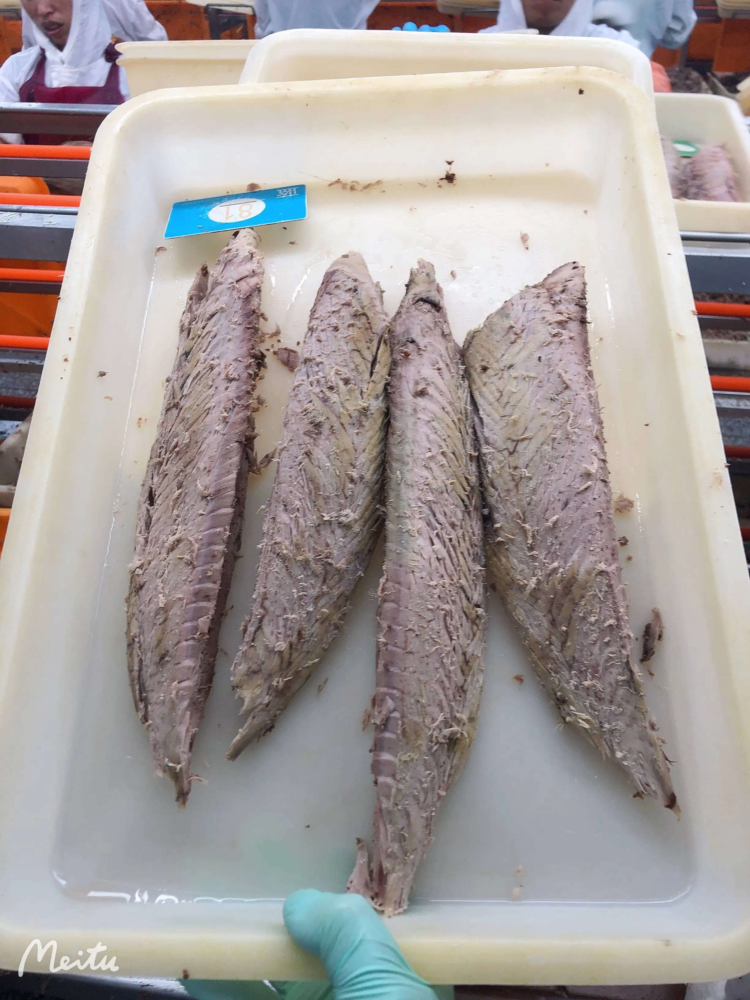 Hot Sale Frozen Precooked Skipjack Tuna Fish Loin Factory-Dried Tuna in Bulk Water Preservation Direct Factory Supply