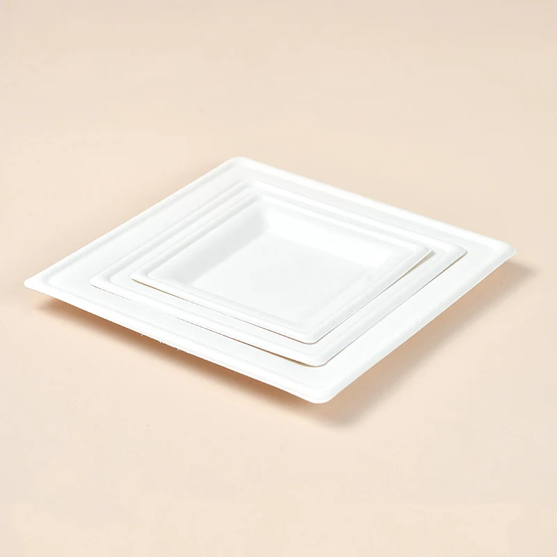 Free Samples disposable sugarcane tableware 9inch compostable bio degradable bagasse paper plate