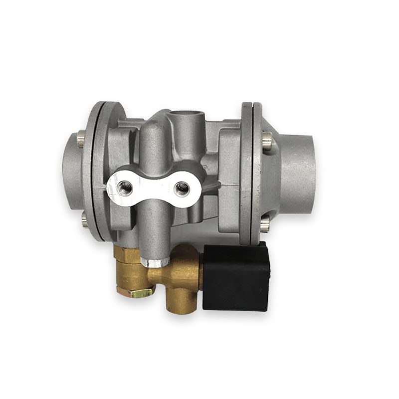 Factory Direct Sales high quality products Pressure Regulator GNC GNV CNG Gas Engine Reducer