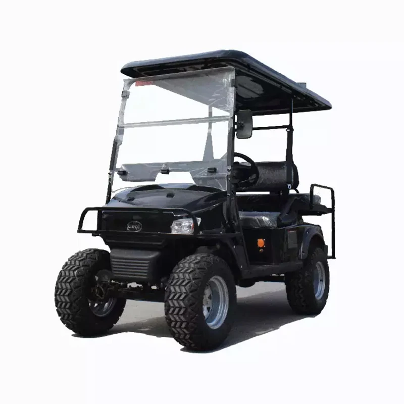 OT2806 newest hot sale cheap 2 seats gas powered golf /buggy carts price