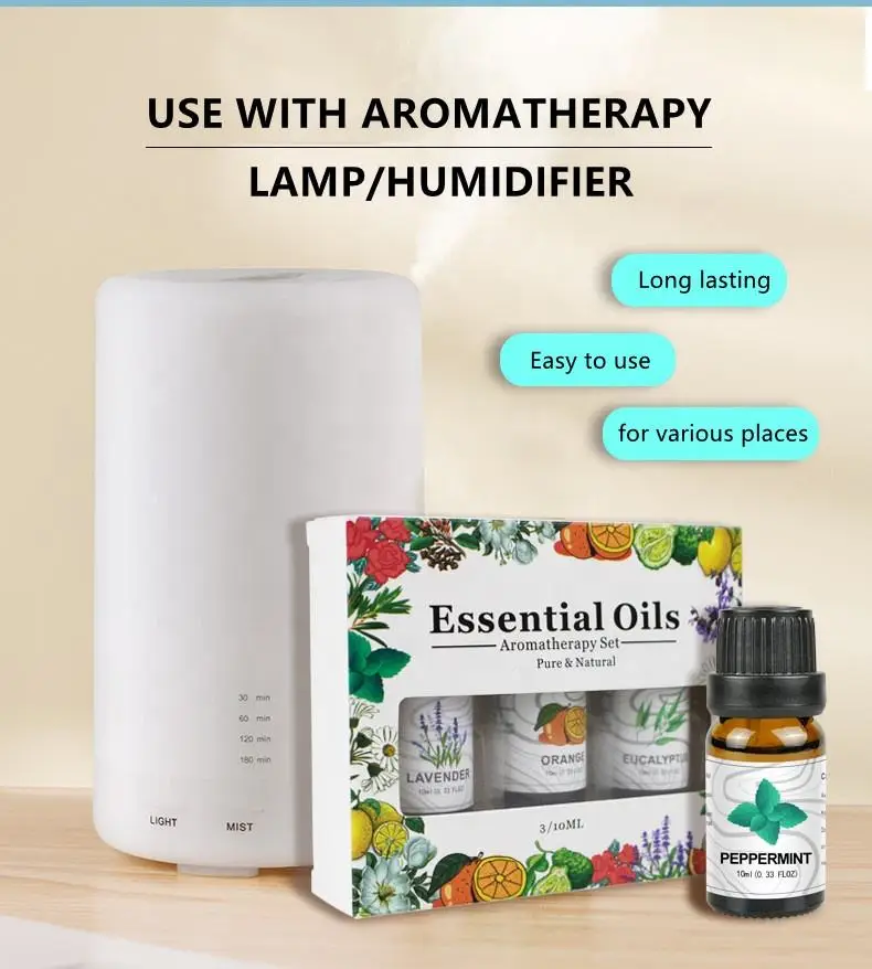 Wholesale herbal extract water soluble humidifier essential oil rosemary rose aromatherapy oil set