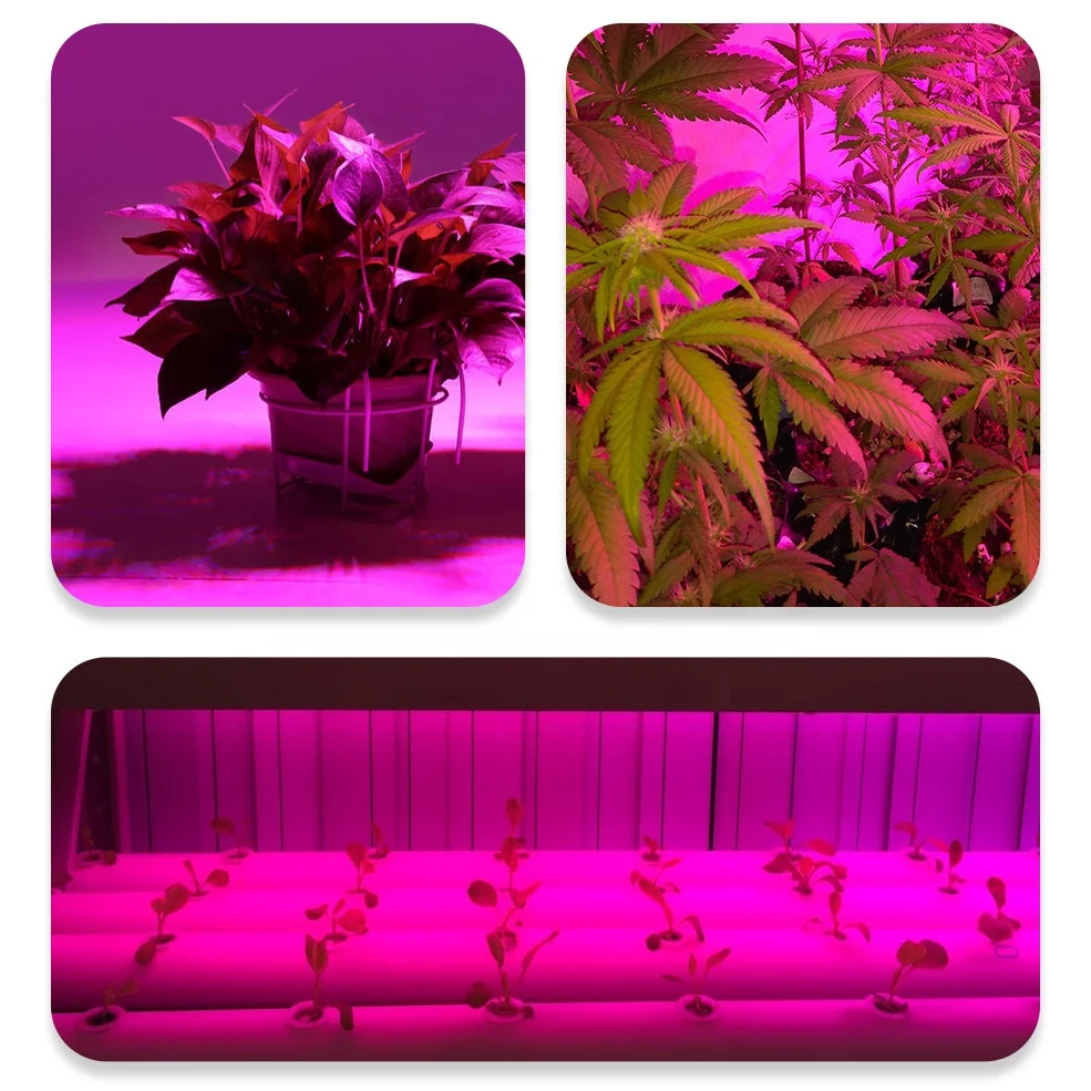 6W SMD 2835 2 Flaxiable Head Clip Full Spectrum Indoor LED Plants Seedling Grow Light