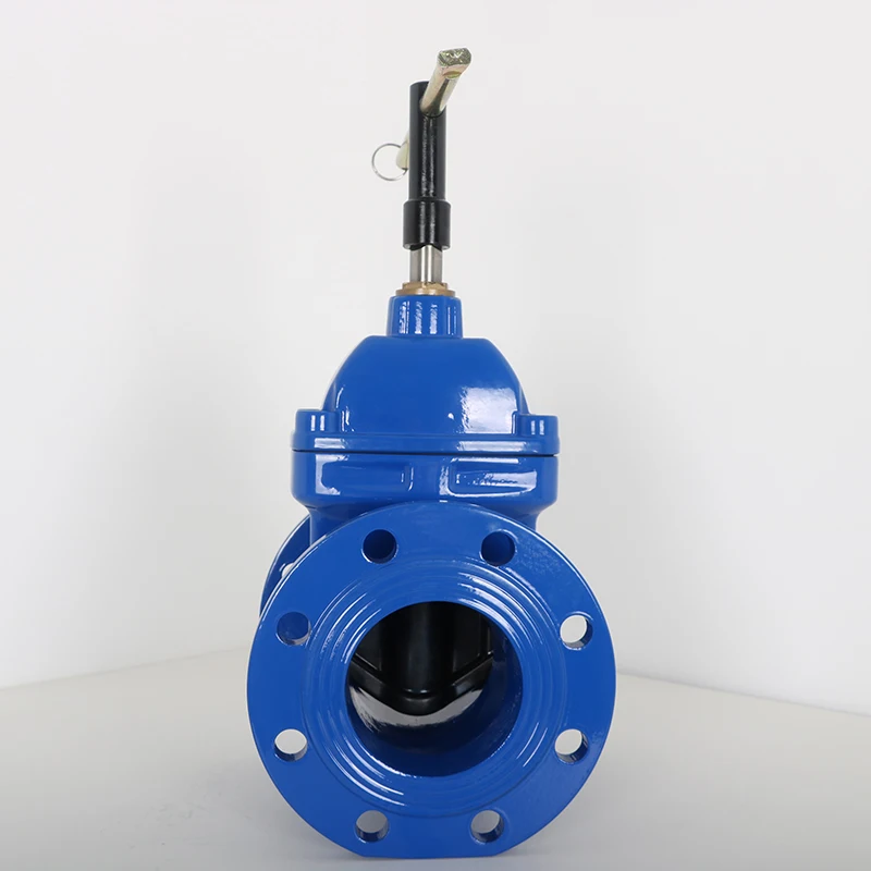 In Stock Anti theft soft seal gate valve with complete models and sizes